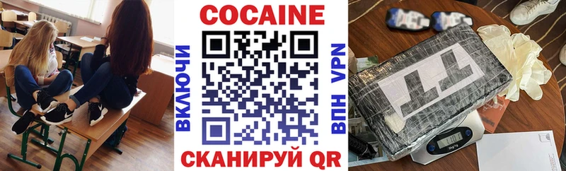 kraken зеркало  Правдинск  Cocaine Fish Scale 